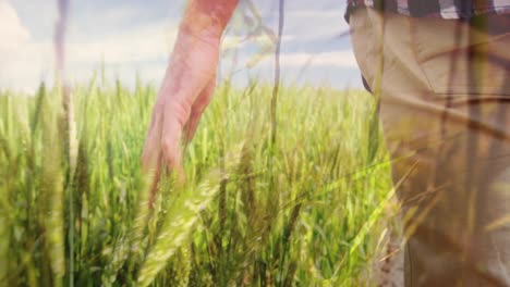 Mann-Geht-Auf-Einem-Graslandweg-4k