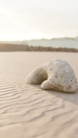 a lone rock on a sandy beach