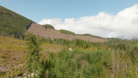 Kahlschläge-In-Den-Wäldern-Des-Pazifischen-Nordwestens-In-British-Columbia,-Kanada