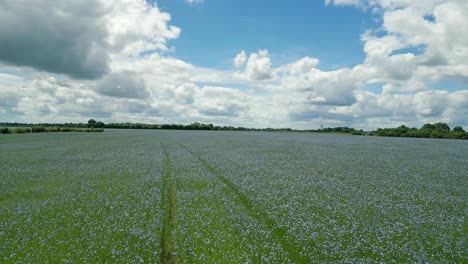 4K-Cinematic-nature-footage-of-a-drone-flying-over-fields-in-the-middle-of-the-countryside-in-Normandy,-France-on-a-sunny-day