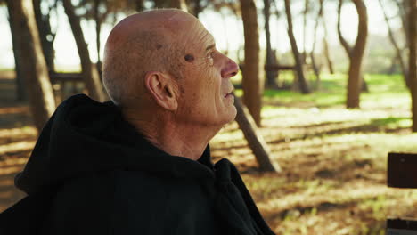 elderly sorcerer in a forest in the morning