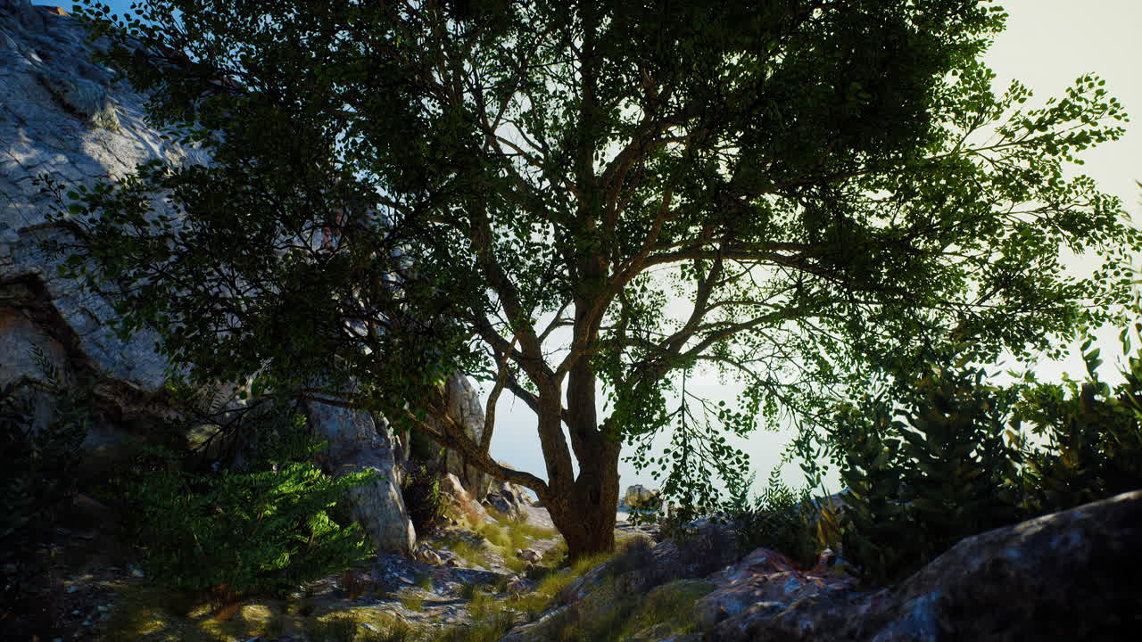 Single tree in the rocky mountains
