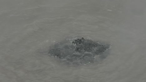 Boiling-hot-geothermal-volcanic-mud-pool,-closeup-shot-steamy-lake-bubbling-mud-and-steam