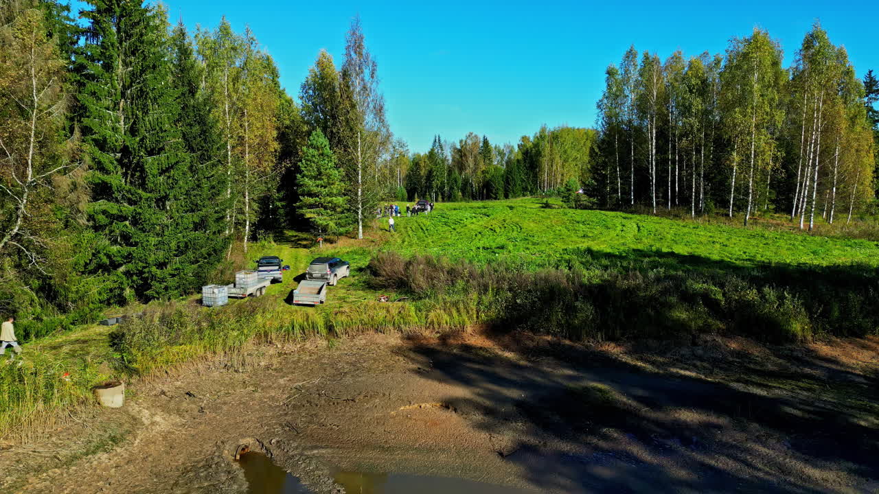 Shallow Waters Of Fish Pond With Common Carp, Cyprinus Carpio Near Countryside. Aerial Drone Shot