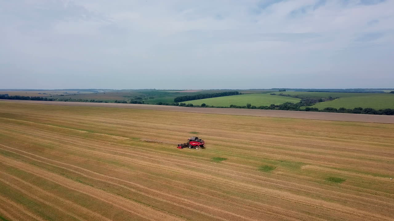 Grain harvest. Agricultural machinery for harvesting grain in action. Aerial view.