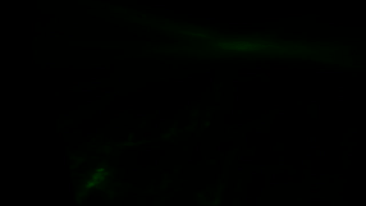 4K Lyslækage 24