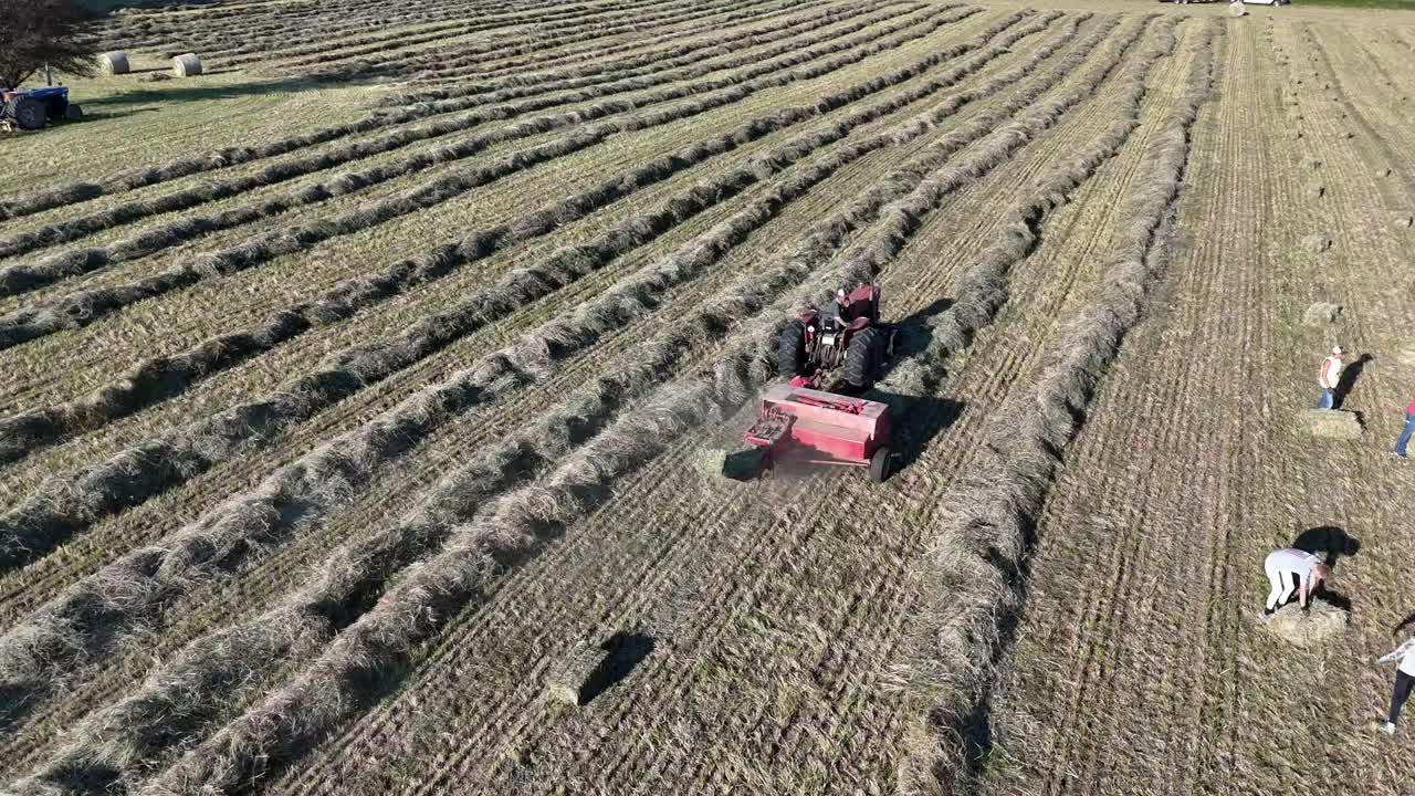 북동부 위스콘신의 농부 스어 베일 하이