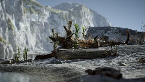 Playa-De-Arena-Blanca-Cerca-De-Acantilados-Rocosos-En-El-Océano