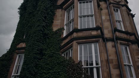 green ivy climbing up the facade of a victorian mansion, adorned with white windows, creates a serene and timeless elegance beneath a moody, cloudy sky