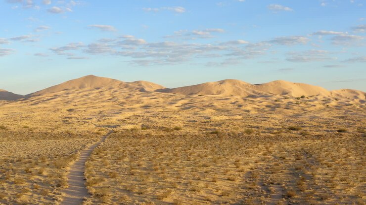 Grote zandduinen staan trots in de gele zonsondergang van de late namiddag boven de Kelso-duinen in de Mojave-woestijn