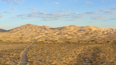 large sand dunes stand proudly in the yellow late afternoon sunset over the kelso dunes in the mojave desert