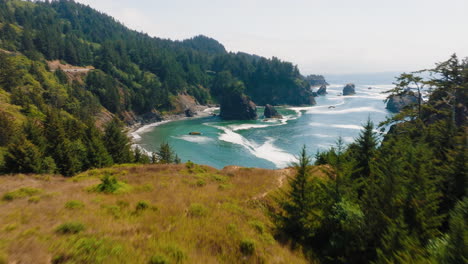 aerial view of scenic pacific coast with sea stacks and forested cliffs