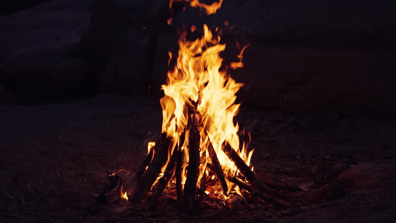 burning bonfire on a summer evening next to forest