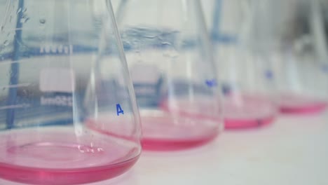 Flask-container-with-pink-liquid-in-a-laboratory-for-chemical-testing