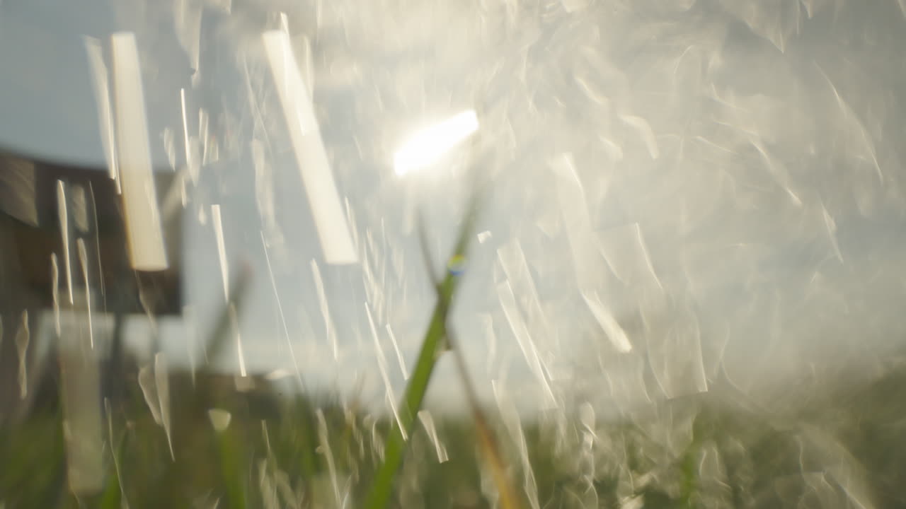 Water droplets and sunlight through grass