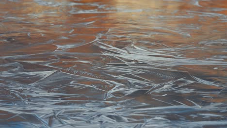 Icy-patterns-on-the-frozen-surface-of-the-small-pond