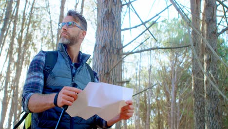 excursionista masculino mirando el mapa en el bosque 4k