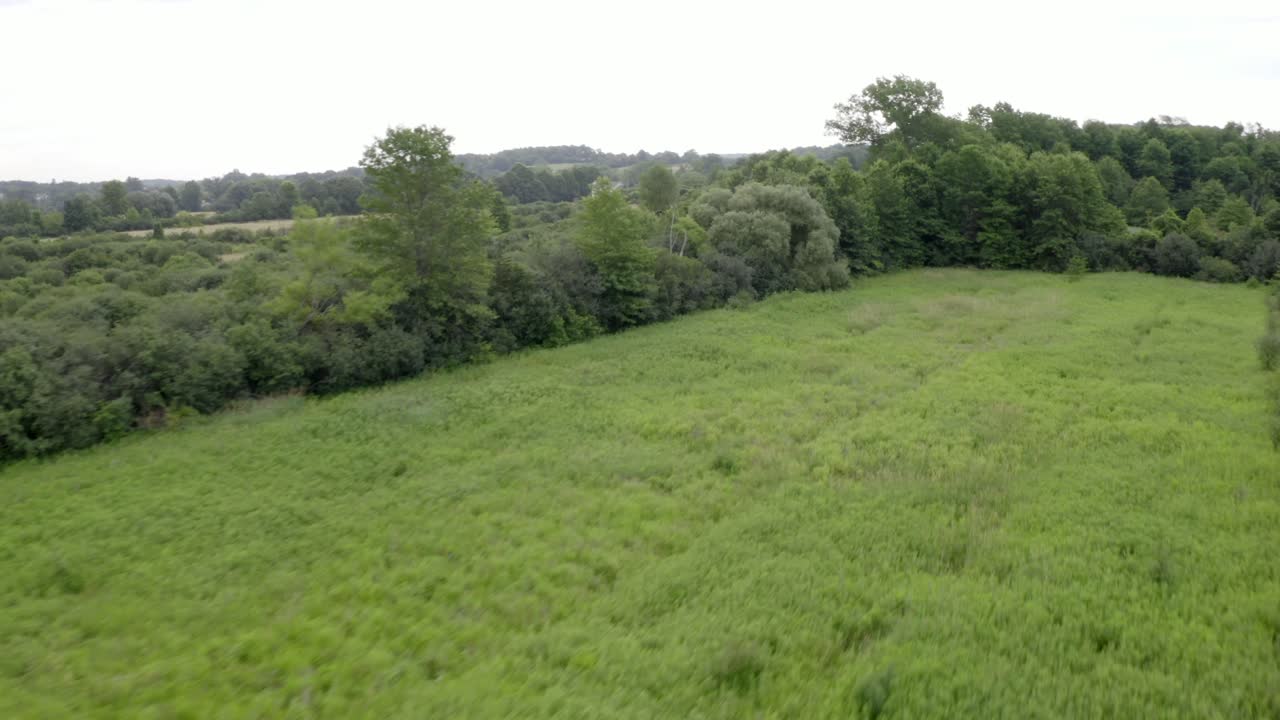 Drone over rural fields in Orange County New York. This is one clip of many in this series - each of which shows a different angle and natural scenery (trees - fields) in the frame.