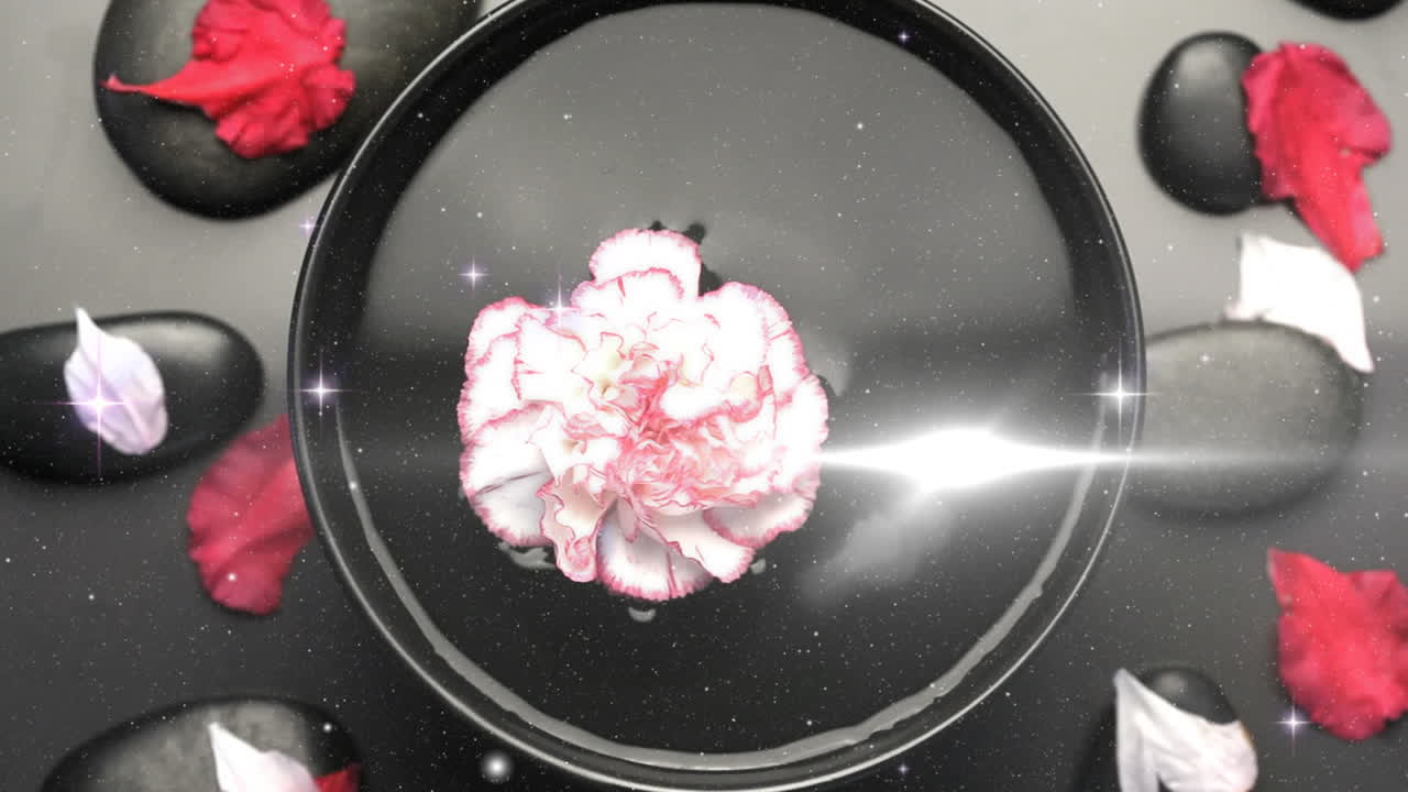 꽃과 잎자루 위에 빛의 반점과 별의 애니메이션