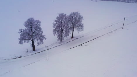 Trees-And-Empty-Road-In-The-Midst-of-Snow-covered-Land-During-Winter