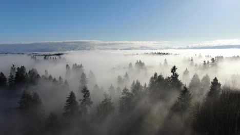 4k drone flight above fog and clouds over a wilderness bathed in long shadows on a bright sunny day