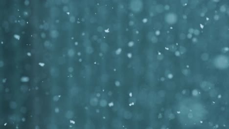 calm snowflakes gently fall in slow motion, creating a peaceful winter atmosphere