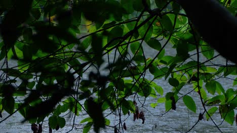 in the rainy season, eastern india receives heavy rainfall during the rainy season