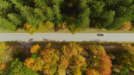 Vista-Aérea-De-La-Calle-De-Otoño:-Imágenes-De-Drones-De-Primera-Toma-Que-Se-Acercan-A-Una-Carretera-Recta,-Que-Conduce-A-Través-De-Un-Bosque-Enmarcado-Por-árboles-De-Colores-Otoñales-En-Un-Día-Soleado