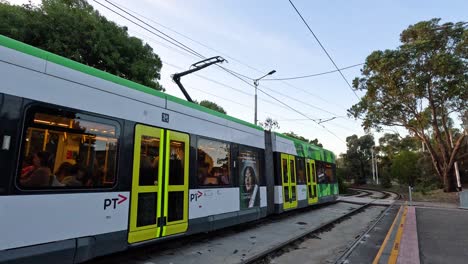 green tram moving along tracks near melbourne zoo