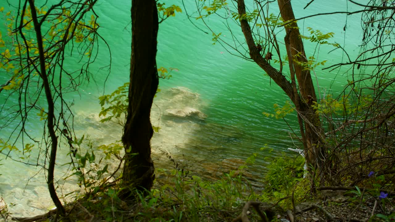 el agua verde de una laguna ondula a la luz del sol