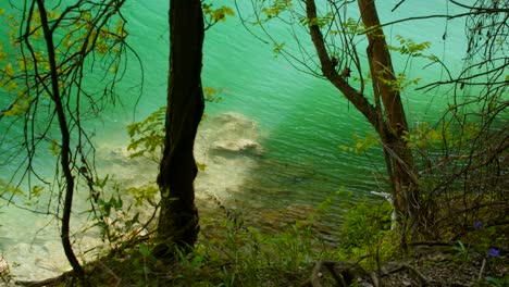 green water of a lagoon ripples in the sunlight