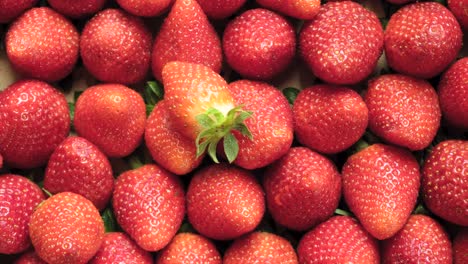 Toma-Panorámica-De-Fresas-Maduras-En-La-Caja