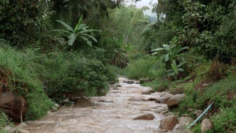 zoom in over cascading river running through lush green woodland jungle