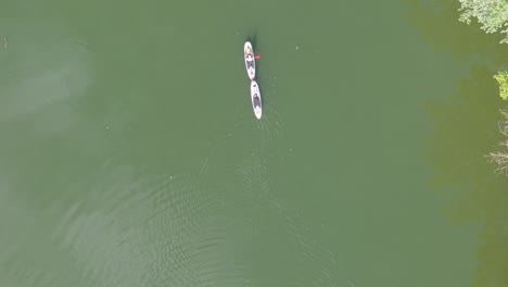 a top-down aerial view of two individuals paddleboarding side by side on tranquil green water. their boards create gentle ripples as they move, surrounded by natural reflections and serene stillness