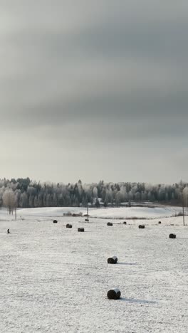 vertical aerial view of farmland in winter with hay rolls scattered across the snow-covered countryside and sun casting light over frosted trees and a forest in background. farmhouse in a distance.