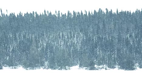 una tormenta de nieve en el norte de canadá