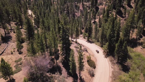 aerial view of a car driving on dirt road in the forest