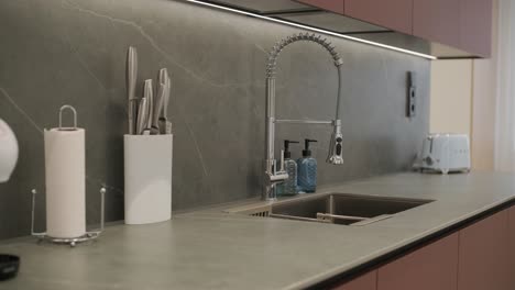 modern kitchen countertop with various items and appliances. there's a professional-looking kitchen faucet with a flexible neck, which is often referred to as a pull-down faucet.