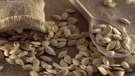 pumpkin seeds close up.