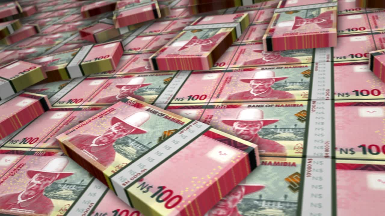 나미비아 달러 돈 지폐  루프 애니메이션