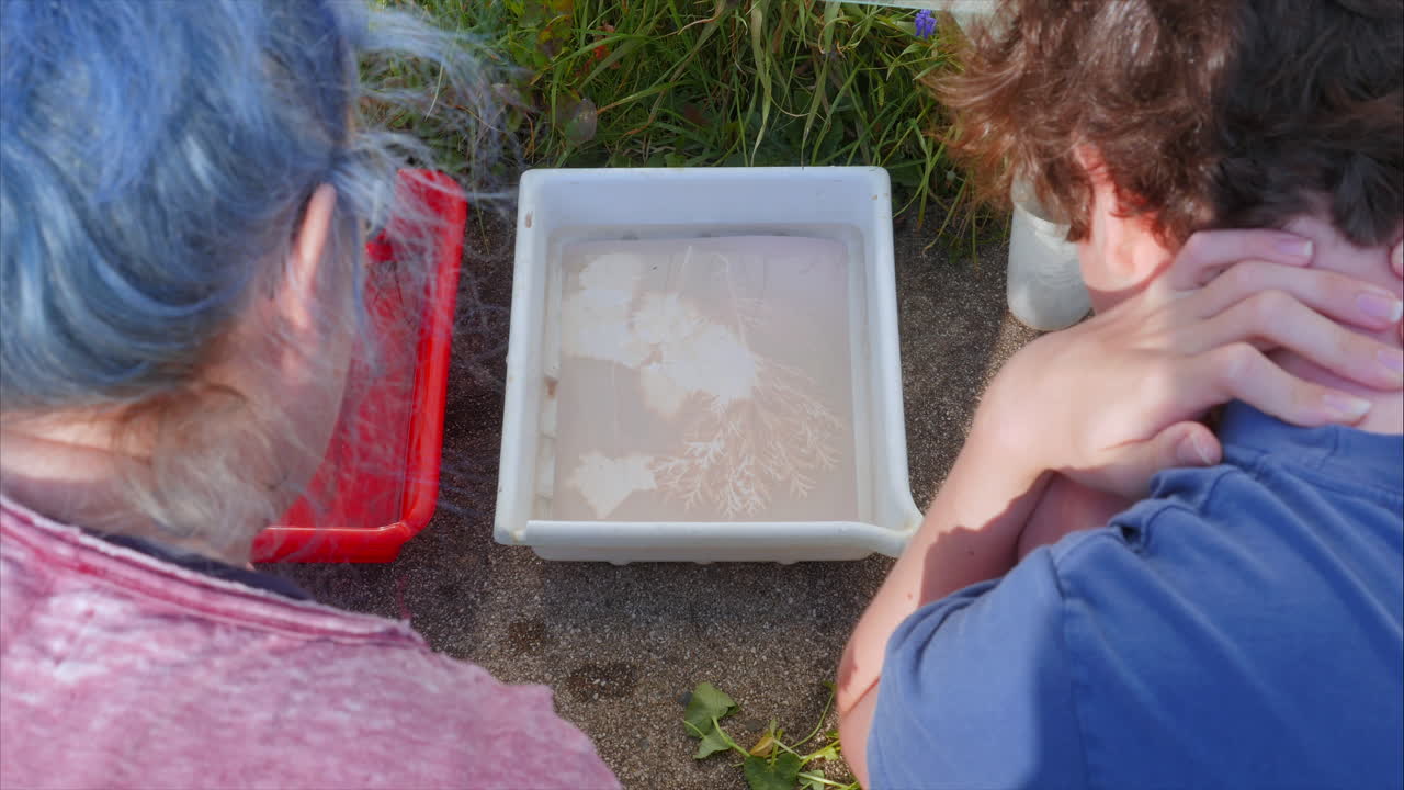 mujer y niño hacen fotograma de flor al aire libre, primer plano de ángulo alto