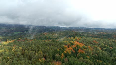 autumn forest with clouds and fog - aerial drone shot