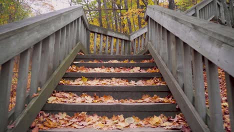 walking up the stairs of a board walk and then looking right over people and towards a lake in the late autumn in quebec