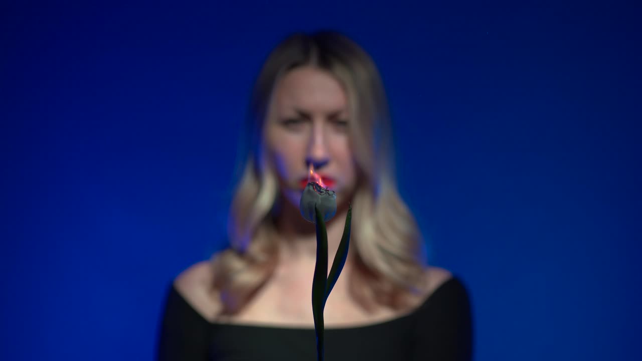 Out of focus young beautiful blonde woman with luscious red lips holding a burning white tulip flower on a vivid dark blue background - 4K