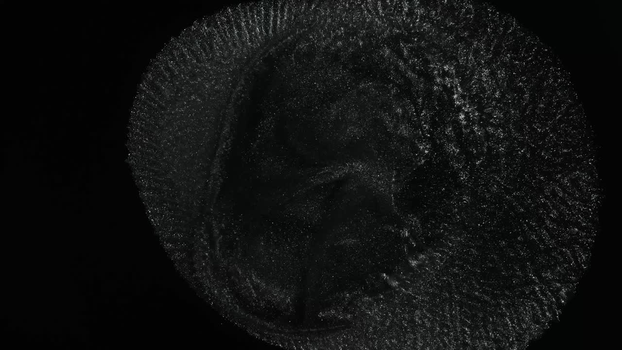 거위가 낳은 황금알 속을 들여다보자