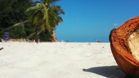 cracked open coconut on the sandy beach