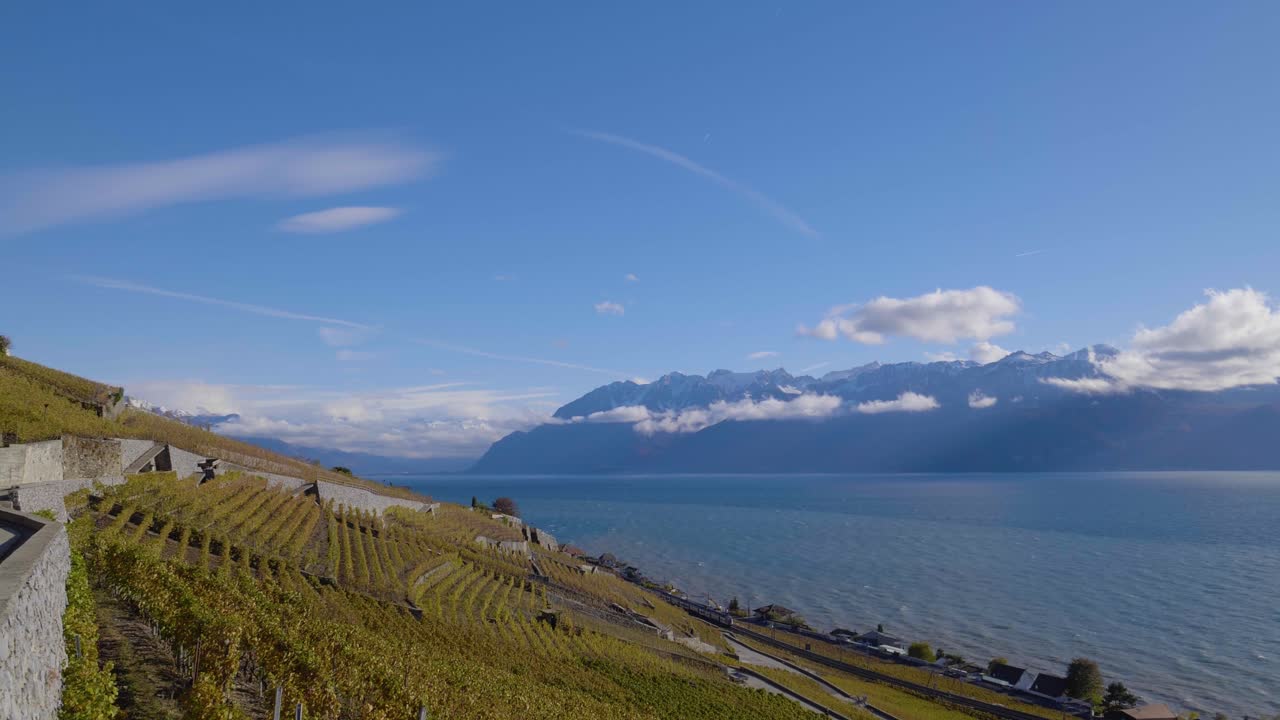 viñedo de lavaux en un frío y ventoso día de otoño, hojas doradas, lago azul léman y cumbres alpinas cubiertas de nieve en el fondo