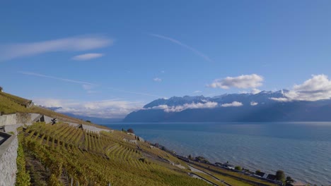 Lavaux-vineyard-on-a-cold-windy-autumn-day,-golden-leaves,-blue-Lake-Léman-and-snow-covered-alpine-summits-in-the-background