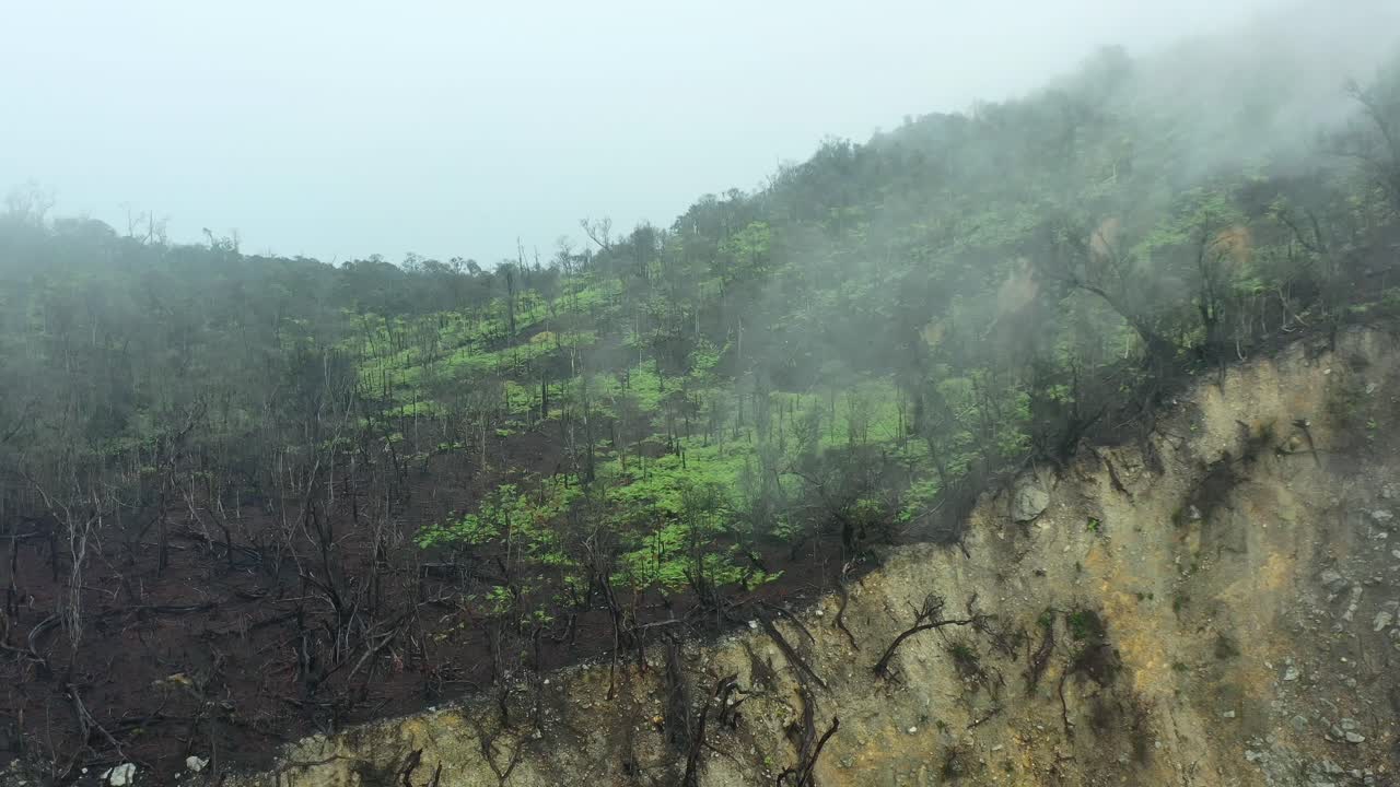 apocalyptic landscape with burned and charred trees on the crater rim of a volcanic forest, aerial