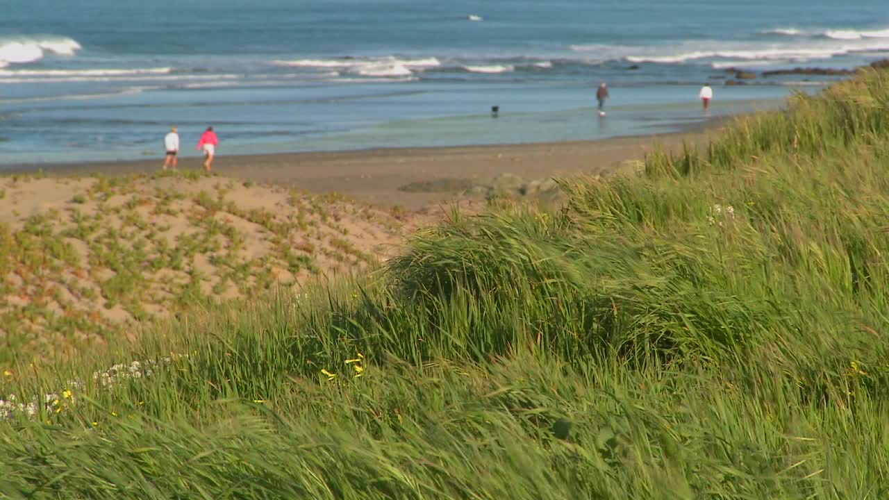 калифорнийцы ведут активный образ жизни, гуляя и совершая пробежки вдоль побережья